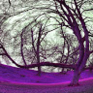 Meet your Posher, Middle school queen of hearts